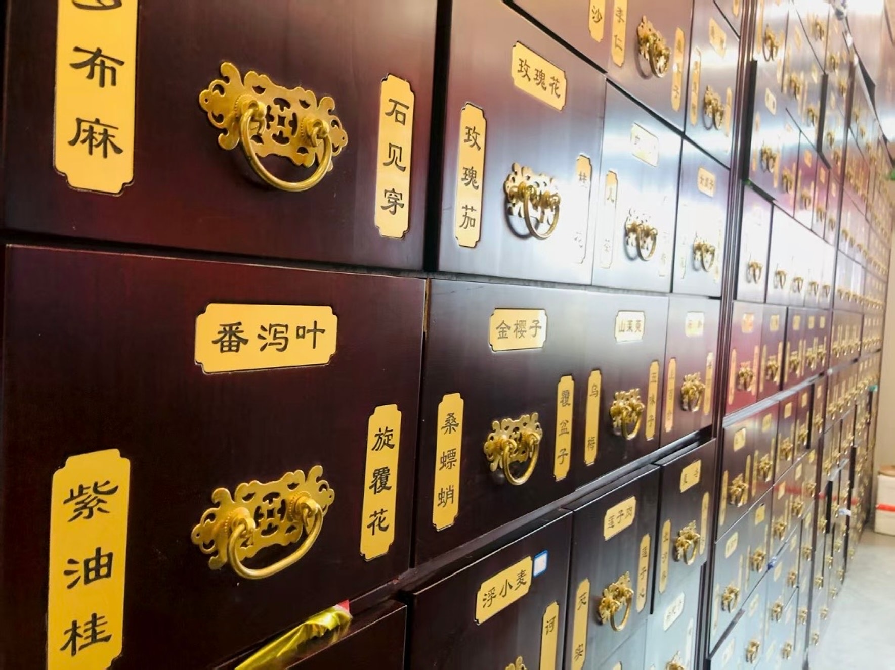 诊所室内中药材药柜照片